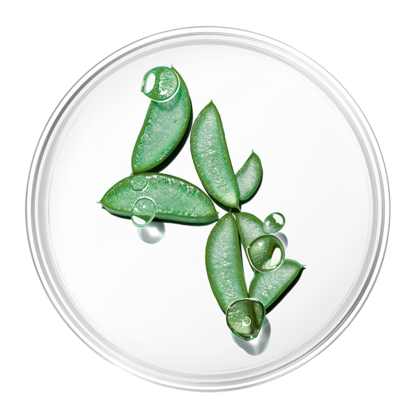 Extra Sensitiv Spülung Bio-Aloe SANTE & Vera Naturkosmetik | Bisabolo